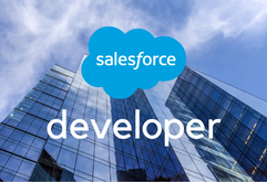 Salesforce-developer